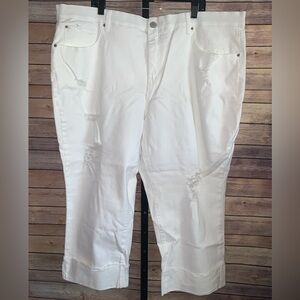 Terra & Sky White capris Jeans - Size 20W